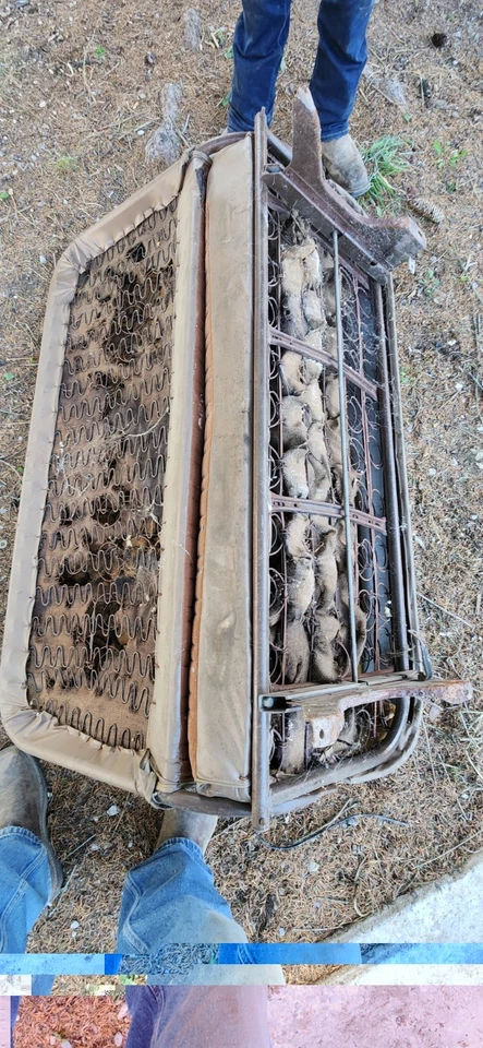 1948 1949 1950 1952 ford f1 пикап верстак сиденье с трек 48 49 50 51 52 - Изображение 4 из 4