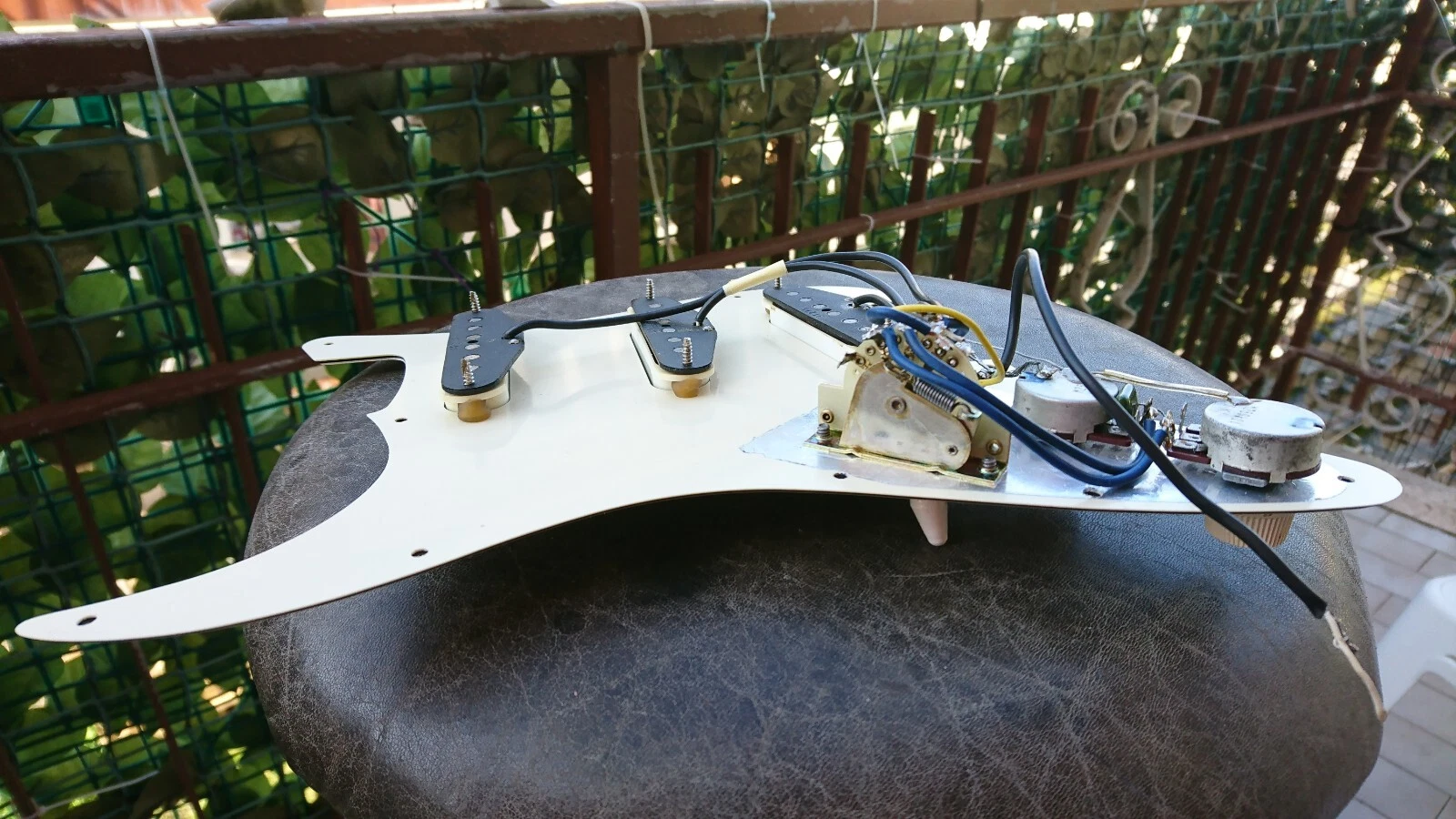 Picture 13 of 24