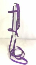 MINIATURE HORSE / SM PONY BITLESS BRIDLE - PURPLE