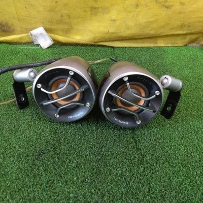 Carrozzeria TS-STX99 Satellite Speaker 20W 4Ω Used Genuine
