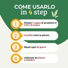 Foto 6 di 10