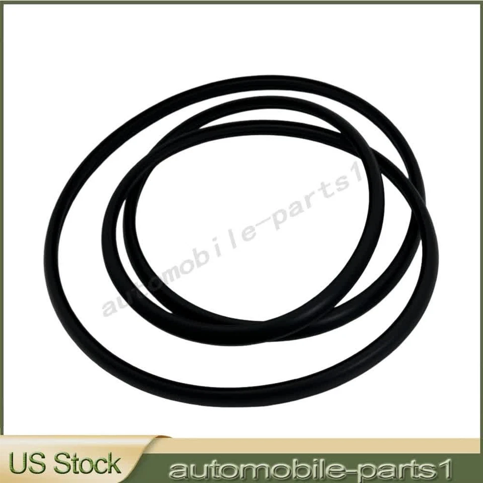 Sello de tira climática de vidrio para techo corredizo 2081-4007 apto para Buick Enclave Chevrolet GMC Foto 4 de 4