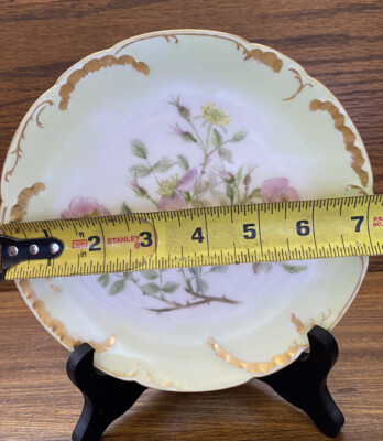 A&C13239 薔薇や春の花のコンポート Limoges GD&C フランス製 s-l400.jpg