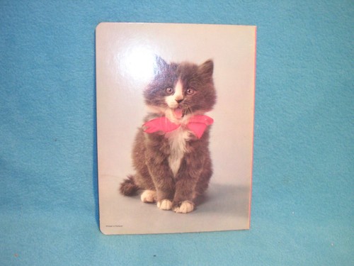 Cuddly Kittens Board Book Printed in Thailand - 8 Pages of Kittens - Picture 2 of 2
