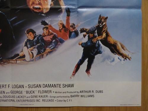 WILDERNESS FAMILY 2 (1978) - original UK quad film/movie poster,family adventure - Picture 5 of 5