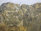 Bild 9 von 10