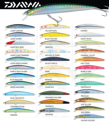 sp minnow colors
