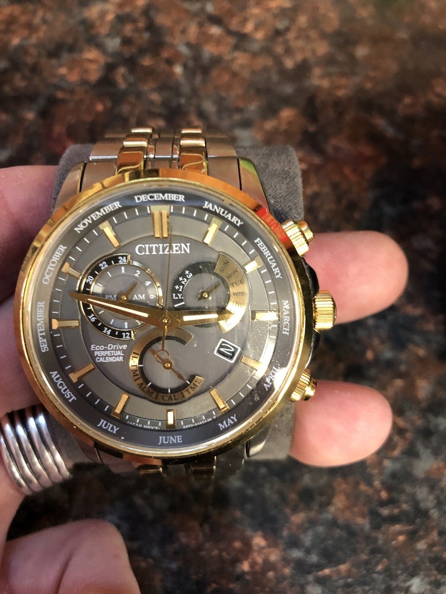 Citizen Eco Drive Watch E870-S104637 2-Tone - Grey Dial (LOOK) | eBay