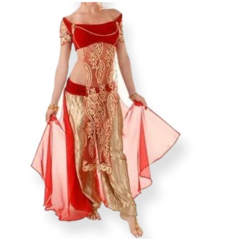 professional belly dance costume used women