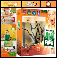 Live Ant Farm Kit - Real Sand Habitat for Kids - Fun Science Colony Set, Watch A