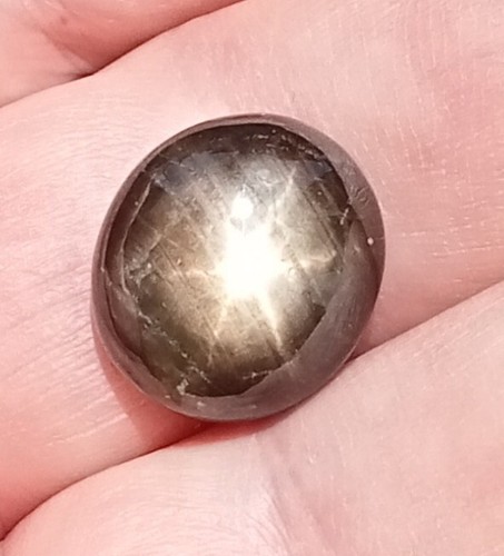 15.85ct Golden Black Star Sapphire Natural - 第 3/4 張圖片