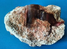 Achat von Sailauf Steinbruch Rehberg (Spessart) 1