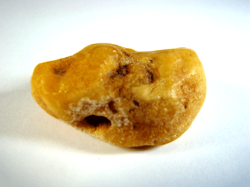 Natur Bernstein #2 Butterscotch 45 x 38mm Natural Baltic Amber 7,67g - Bild 5 von 5