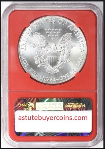 2016 Obverse Retained Struck Thru Hair or Thread NGC MS69 Silver Eagle Error - Picture 6 of 7