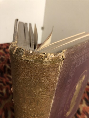 Life Of The Virgin Abbe Orsini Hardcover 1897 - Picture 2 of 23