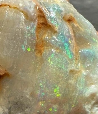 *Watch Video* Opal Clam Fossil Shell Lightning Ridge Australia Opalized Gem