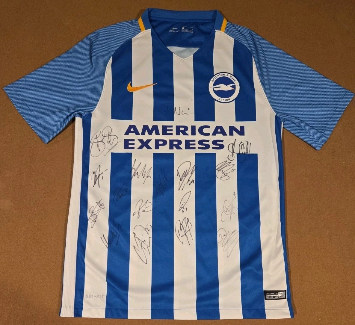 25+ Brighton & Hove Albion Men International Club Soccer Fan