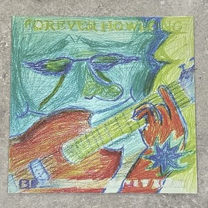 Black Country New Road Vinyl | eBay