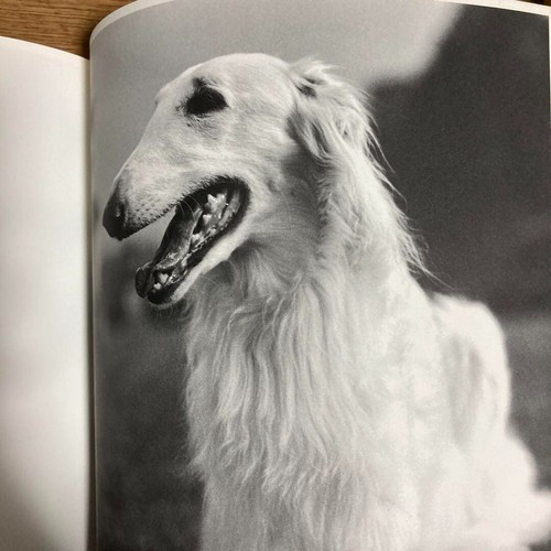 Western book Bruce Weber Photo book first edition 1991 BW from Japan - Picture 4 of 10