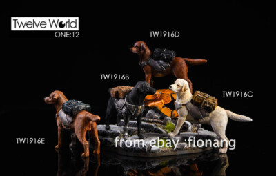 TWTOYS 1/12 Battlefield Ruins and Mechanical Dog Animal Model Non Ant SHF 