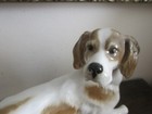 Bild 5 von 9