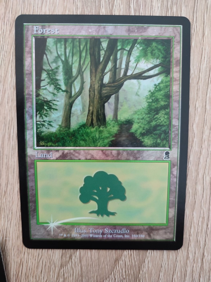 【ご確認用】オデッセイ foil 森(347) 日本語 1枚　MP寄り　MTG MTG FOIL ODYSSEY FOREST NM MAGIC THE GATHERING #350/350 BASIC LAND