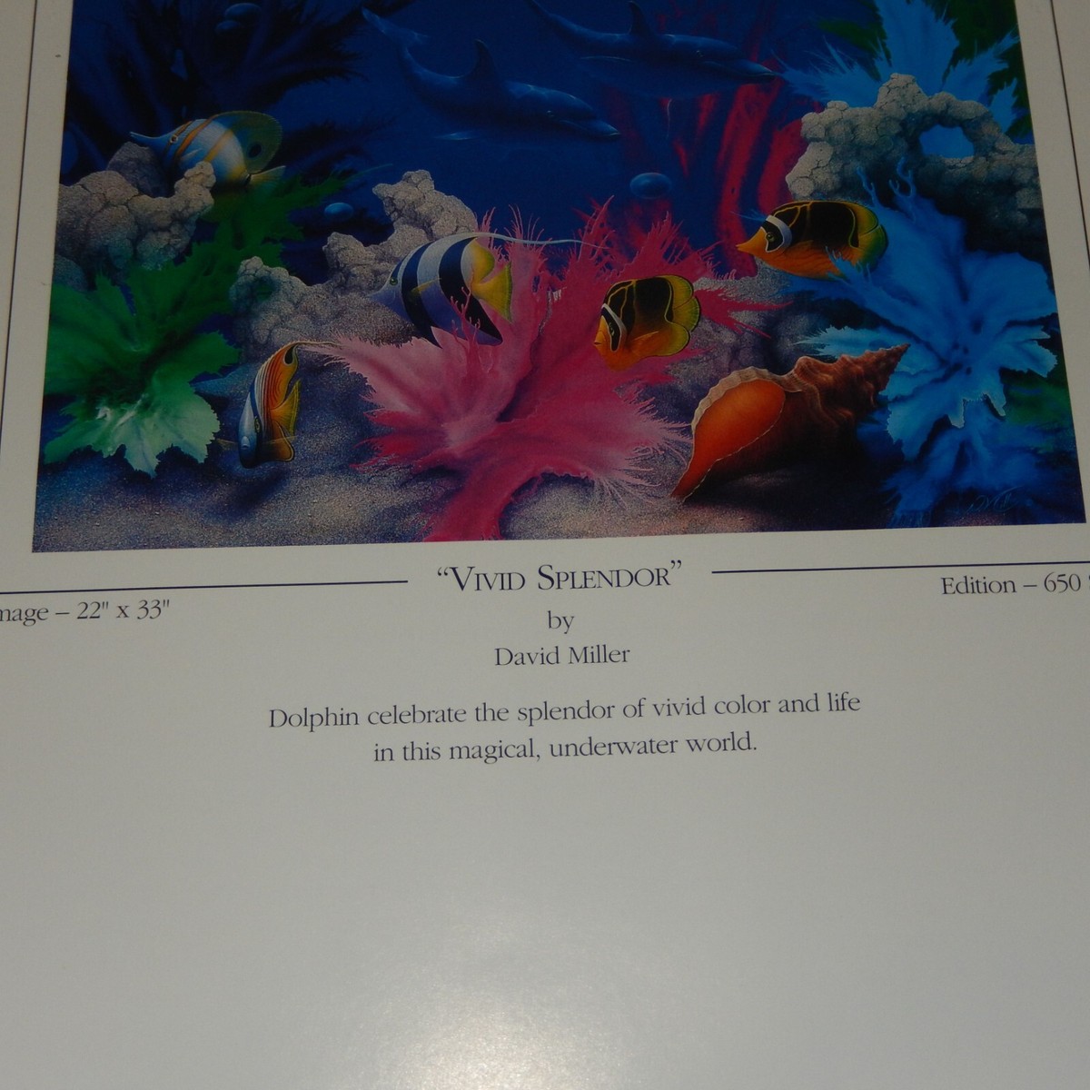 Signed Numbered DAVID MILLER Limited Edition VIVID SPLENDOR 38