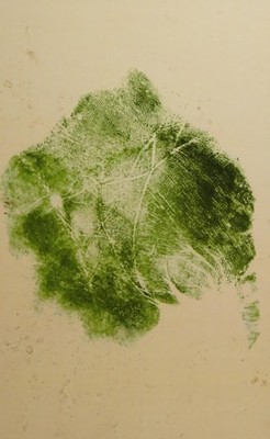 Dark Mountain Issue 2 - Summer 2011, Paul Kingsnorth,Dougald Hine, Good Book
