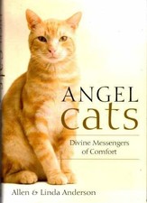 Angel Cats: Divine - Hardcover, by Anderson Allen;Anderson Linda - Good b