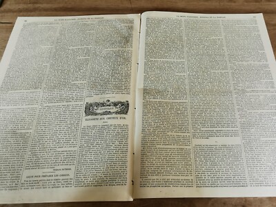 Revue Ancienne LA MODE ILLUSTRÉE Du 21 Novembre 1869 - N°47 Collector