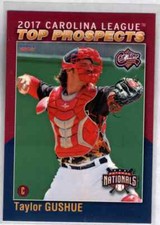 Taylor Gushue 2017 Choice Carolina League Top Prospect