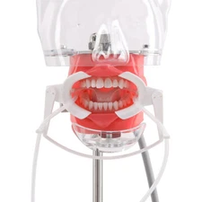 Dental Adjustable Ortho 134℃ Cheek Mouth Adult Retractor Dry Field System Lips