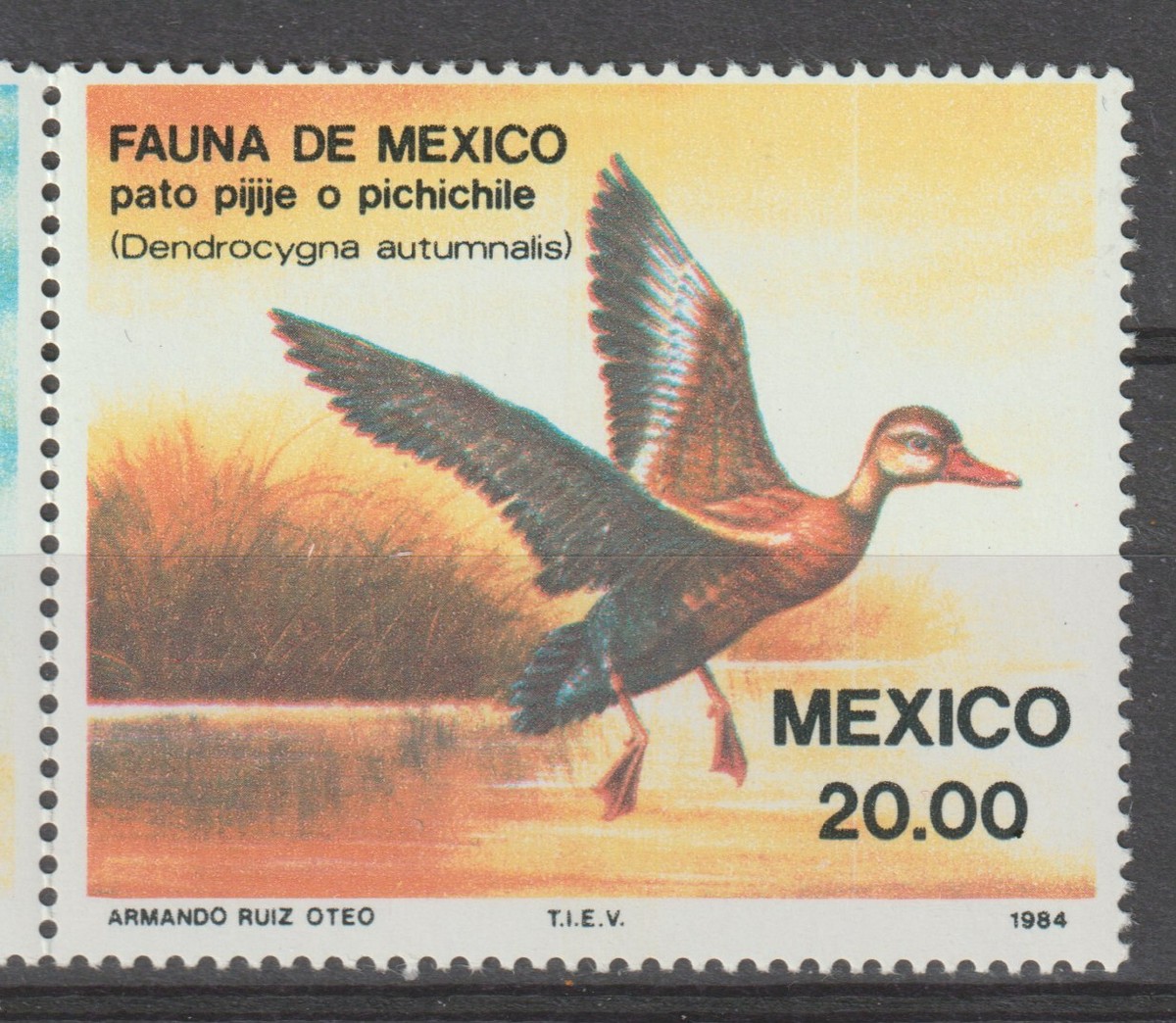 Mexico 1984 #1347a Aquatic Birds - MNH | eBay