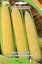 20 Semi / Seeds MAIS Dolce Golden Bantam