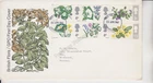 GB FDC FIRST DAY COVER 1967 BRITISH FLORA FLOWERS GPO COVER