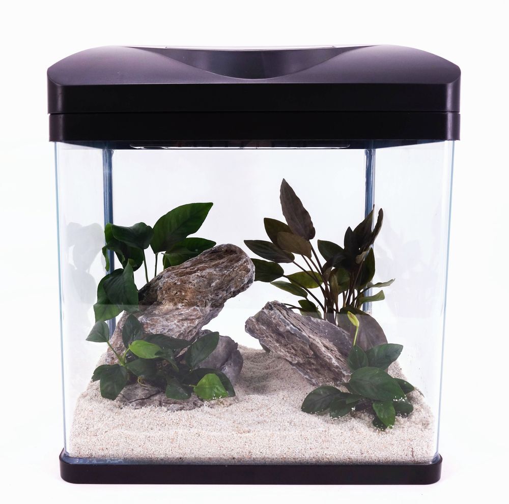 Nano Aquarium Laguna en negro acuario completo + iluminación LED + sistema de filtro