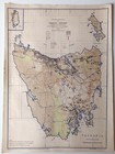 1945 Tasmania Australia, Dairying Industry, Dairy Cows, Cheese, Butter, Map No 9