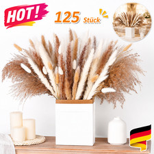 St&uuml;ck Getrocknetes Pampasgras Bouquet Wohnkultur Party Trockenblumen Natur Boho