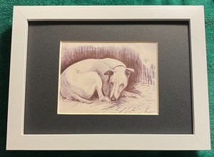 Whippet MATTED | FRAMED | READY TO GIFT - 1986 Vintage Dog Art Print W
