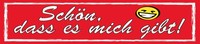 Blechschild 10X46 Cm SchöN Dass Es Mich Gibt Deko Geschenk Schild