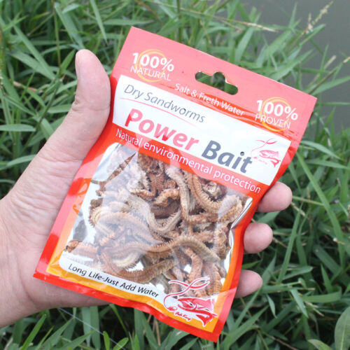 Artificial Bait Lifelike Dry Lugworm Sandworms Soft Fishing Lures for Fishing - Bild 3 von 9
