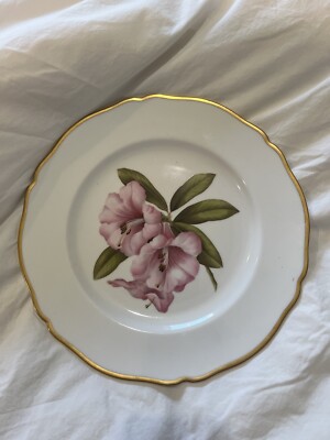 Spode Rhododendron Y6638 Botanical Bone China Gold Rimmed Plate