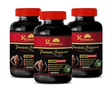 Organic Botanical Healing - PROSTATE HEALTH - Nutrient-Powered Wellness 3Bot