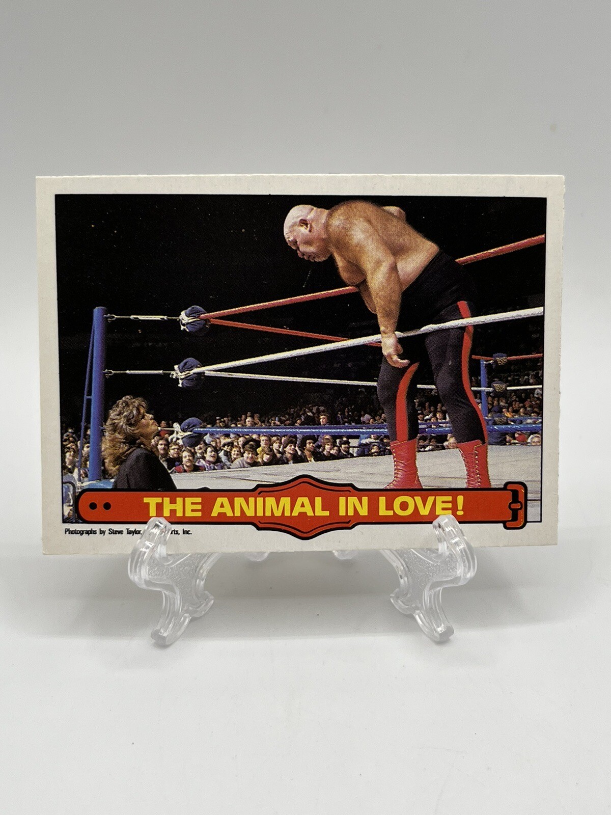 Ebay Item For Sale