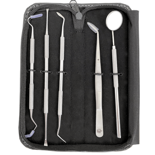 Dental Teeth Cleaning Kit Dentist Floss Plaque Remover Oral Care Tooth Tools 5PC - Picture 5 of 8