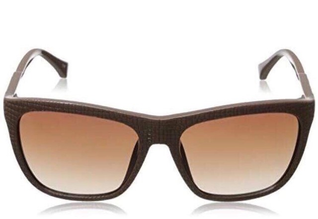 calvin klein women's sunglasses