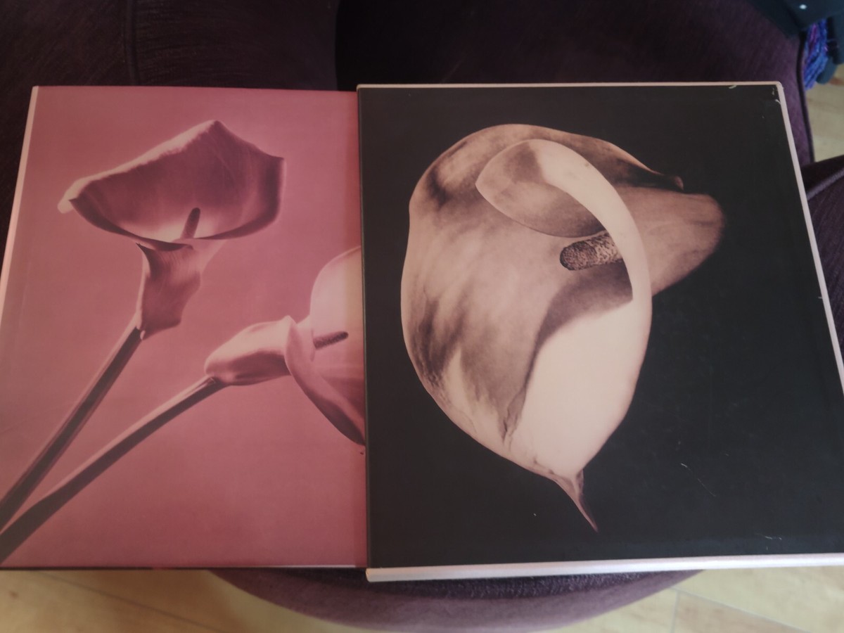 【 PISTILS】Robert Mapplethorpe 新品未読品・美本 PISTILS】Robert Mapplethorpe 新品未読品・美本 Pistils
