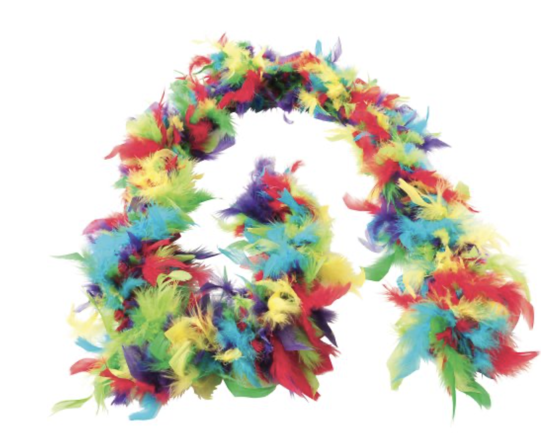 6 Ft Long Multicolor Feather Boa eBay