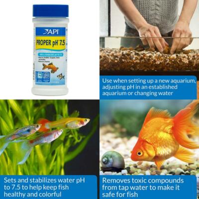 Aquarium Water Ph Stabilizer: Ultimate Guide for Perfect Balance