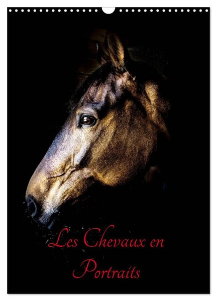 Xavier Bertrand | Chevaux En Portraits (Calendrier Mural 2026 DIN A3...-image
